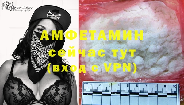 крисы Алзамай