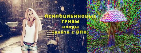 сатива Алексеевка