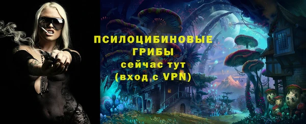 сатива Алексеевка