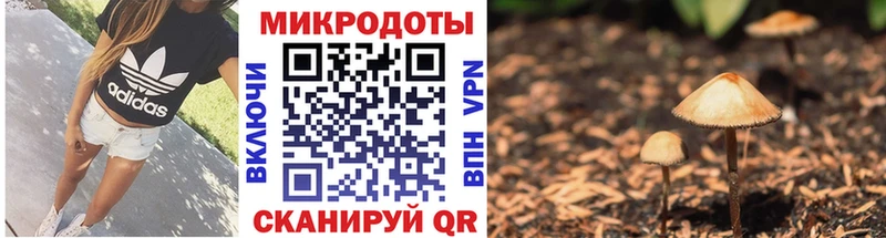 KRAKEN   Тулун  Псилоцибиновые грибы прущие грибы 