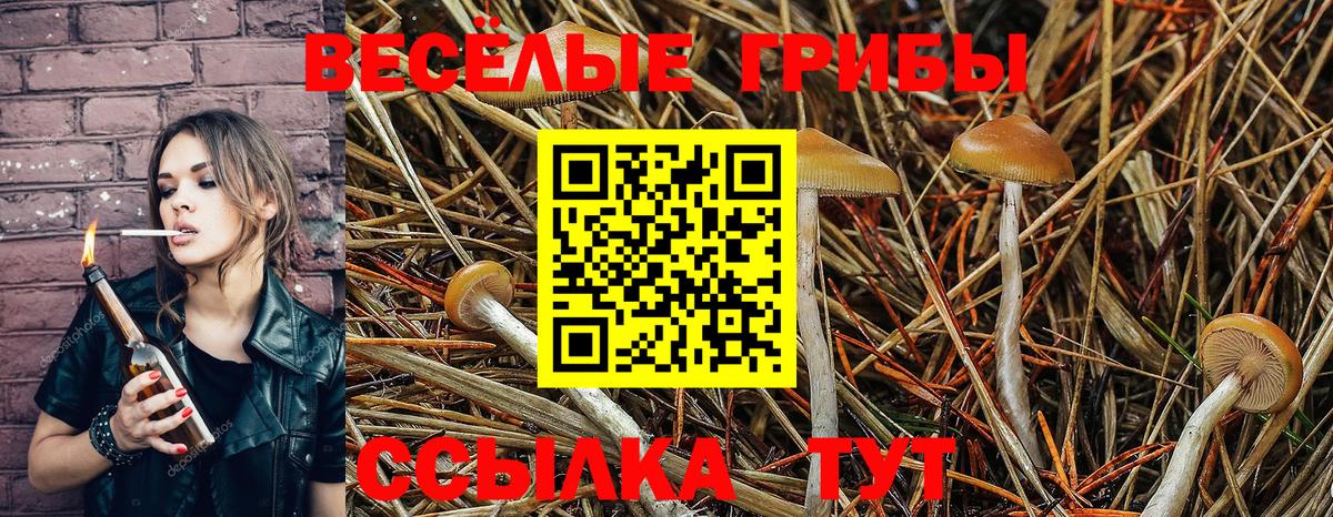 цена наркотик  Галлюциногенные грибы Psilocybe  Вход с VPN  Тулун 